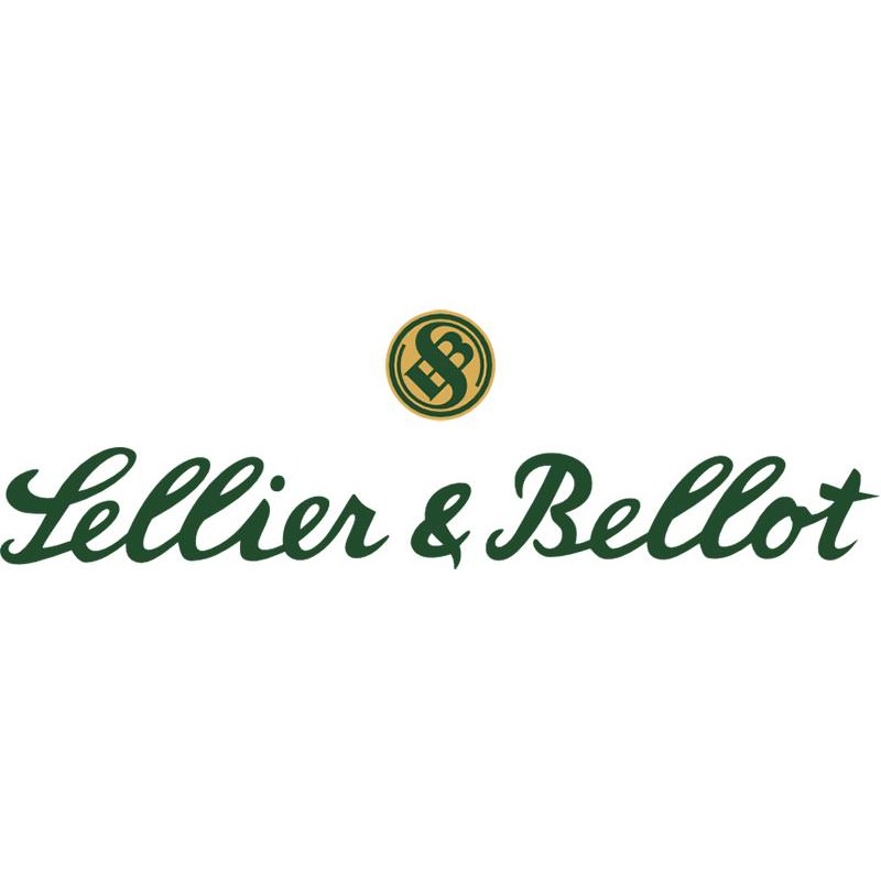 Sellier & Bellot 410/76 Slug Boite 25 cps