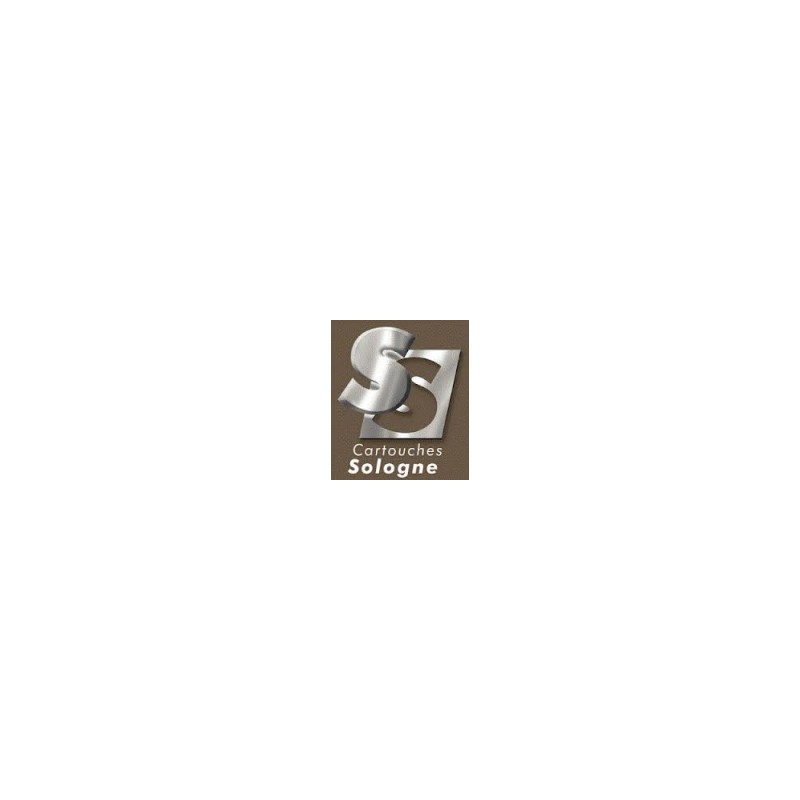 Sologne .416 Rem Mag GPA SP 300 grs 19.5 g Boite 20 cps