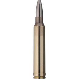 RWS 300 Win Mag CINESHOT 9,5Gr 147Grs - Boite de 30