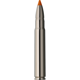 RWS Kal.9.3x62 Hit Short Rifle 16.2g / 250grs - Box mit 20 Patronen