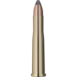 RWS cal. 22.Hornet TMS 3.0 g/ 46gr - Boite de 20cps